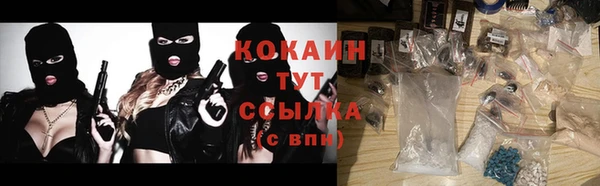 стафф Аркадак