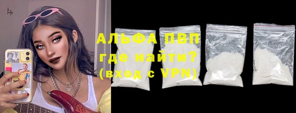 стафф Аркадак